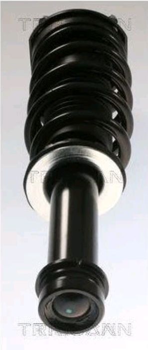 TRISCAN 87О5 811О7 Амортисьор за Тесла модел с 4х4
TESLA TESLA Model S