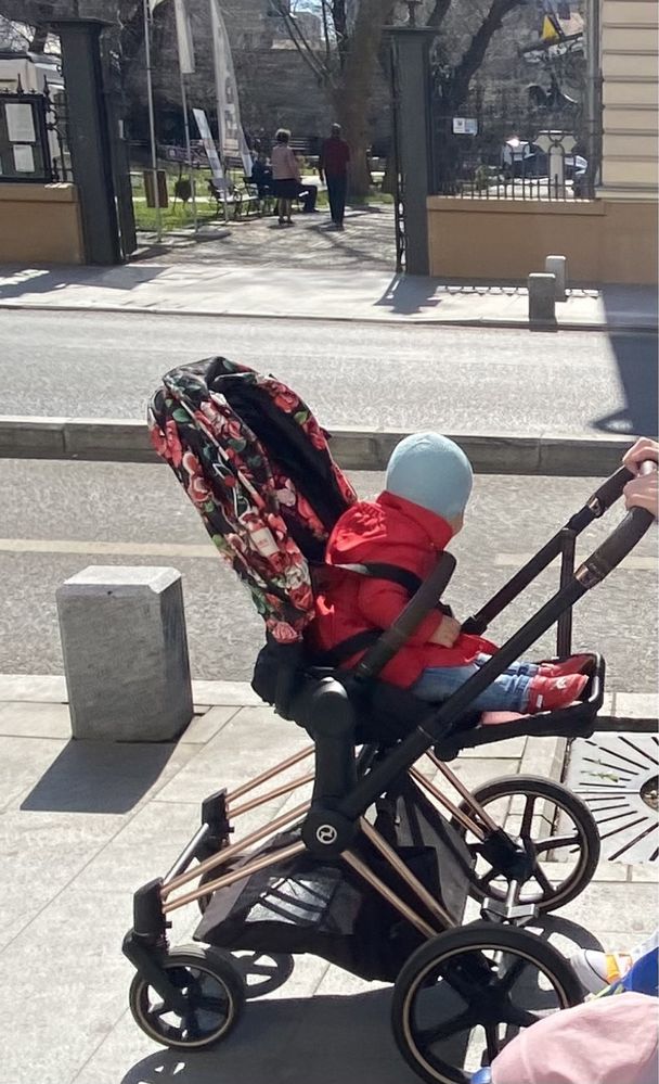 Carut sport + landou - Cybex Priam Spring Blossom