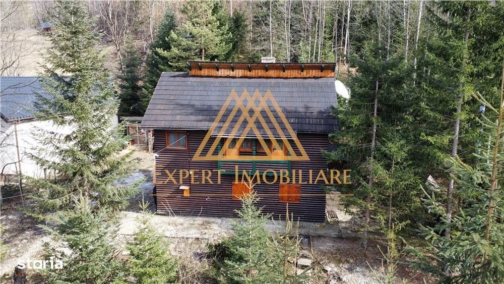 Cabana vanatorului, sursa de apa, lemne, parau pe proprietate, fantana