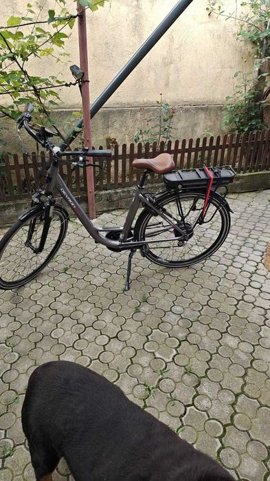 Vand  bicicleta electrica asistata