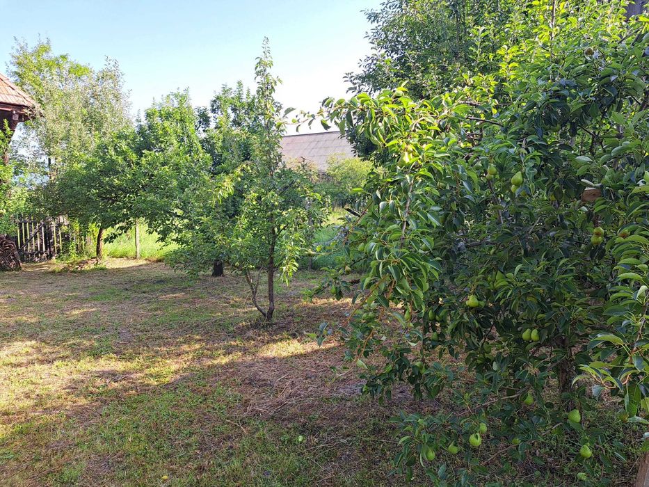 Casa cu livada + teren 5000 mp langa Tg. Secuiesc