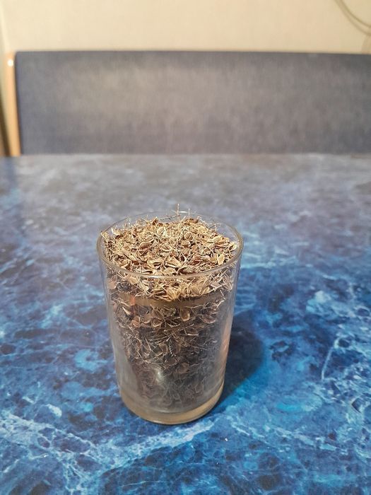 Продам семена укропа, укропа для заколки,  семена лука- чернушки
