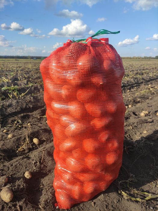Продам картофель оптом