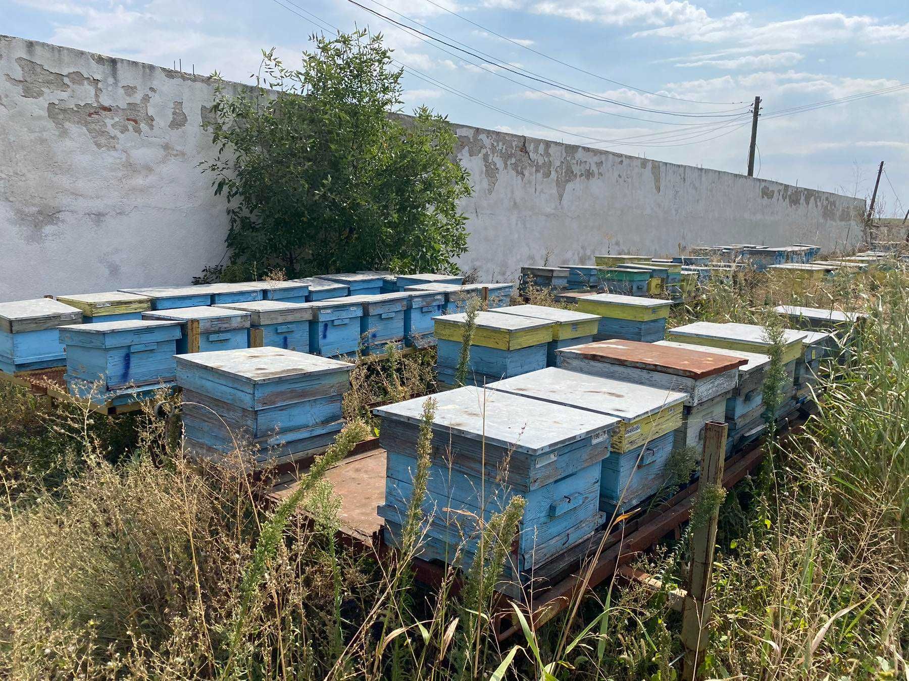 Пчеларски платформи за подвижно пчеларство