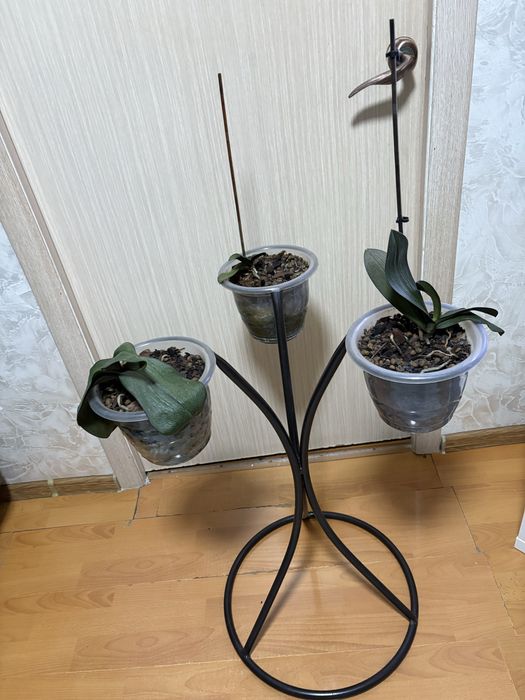 Продам  полставку для цветов