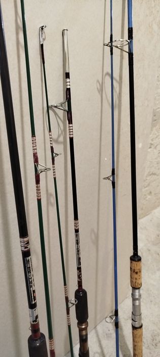 Три броя Токоз липно