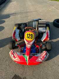 Kart go kart Birel cu motor 125cc Iame KF3