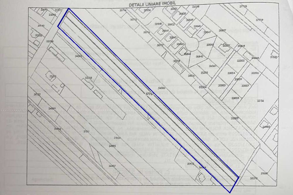 Teren Intravilan, intrare Sabareni - 10500 m2 - 37€ m2 - negociabil