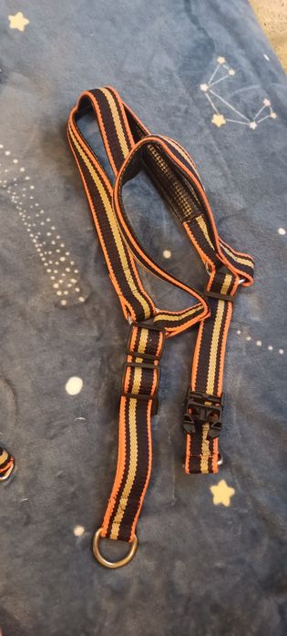 Шлейка с поводком. Для крупной собаки. Новая
