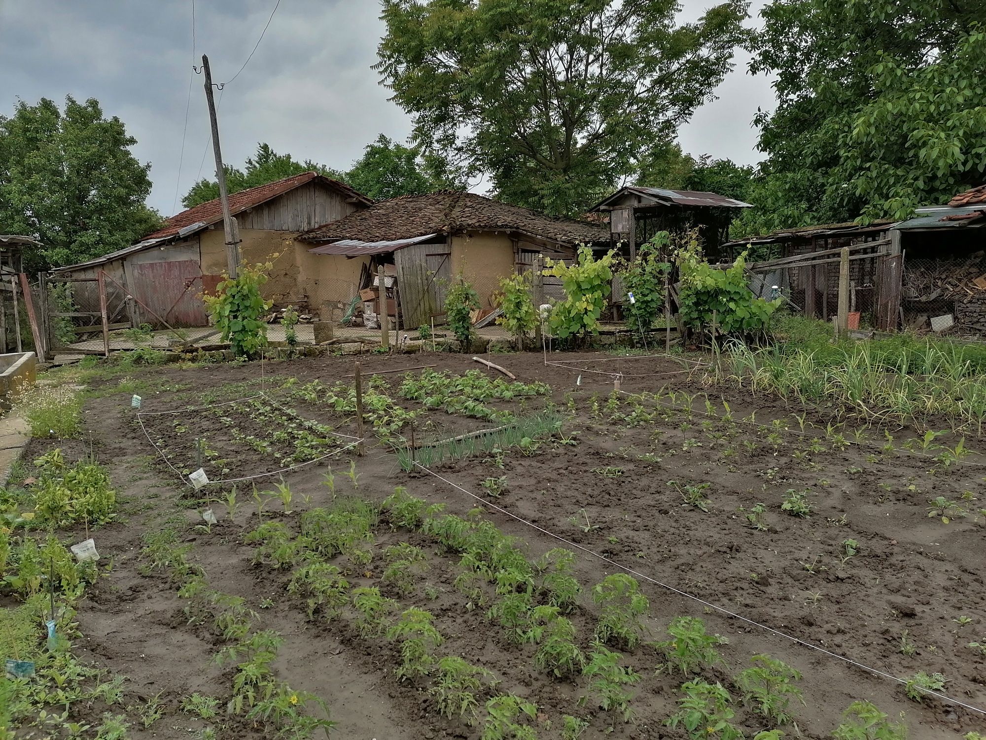 Голяма къща на две улици