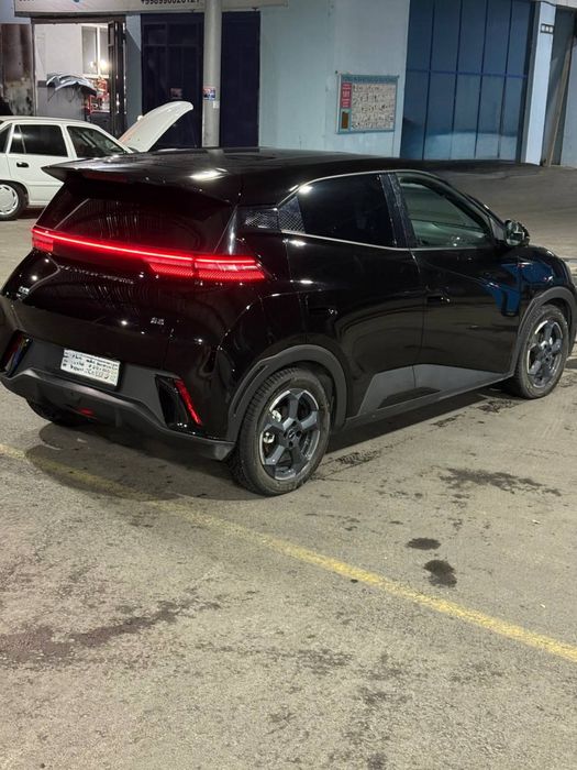 BYD seagull 405km full