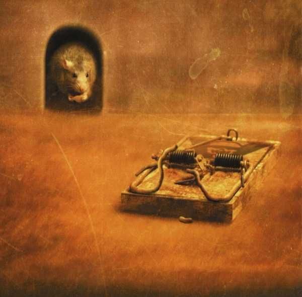 CD Megadeth - Risk 1999
