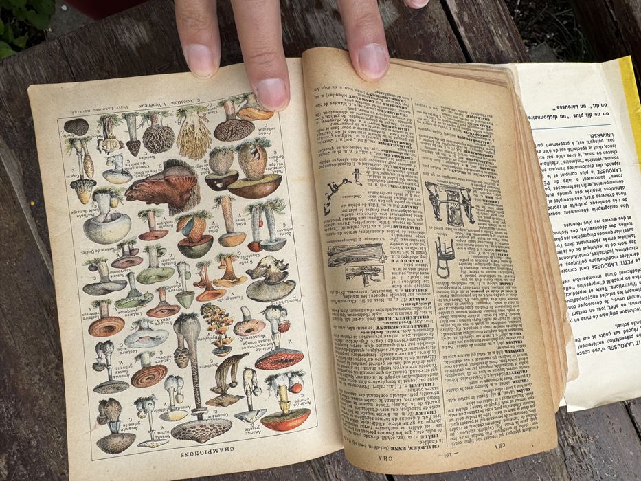 Le petit laurousse vitntage