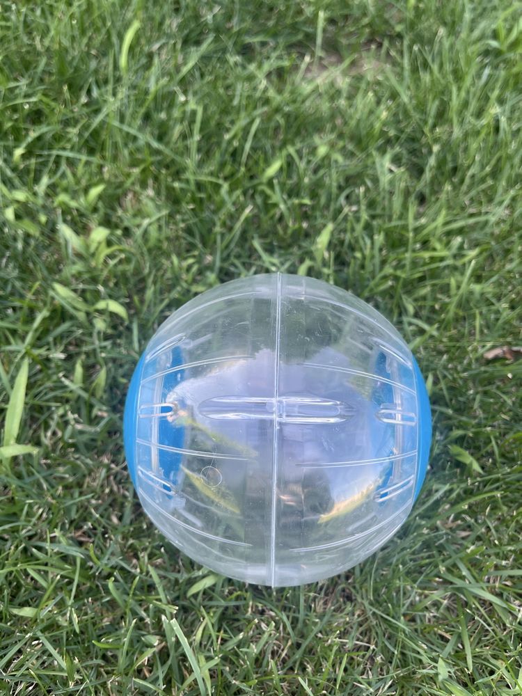 Cusca pentru hamster