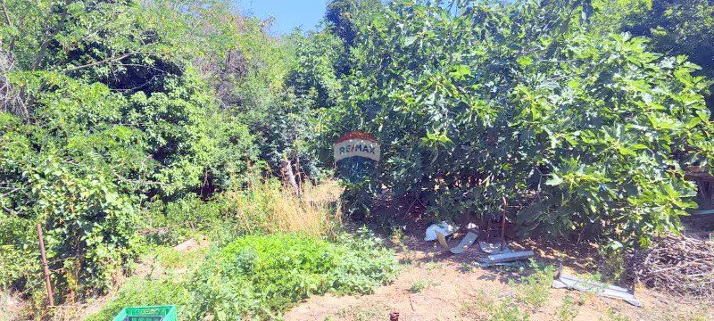 Парцел за продажба в м-ст Сълзица, гр. Варна, ТМ