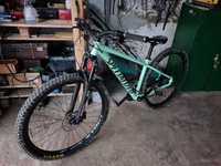 Specialized Rockhopper 29