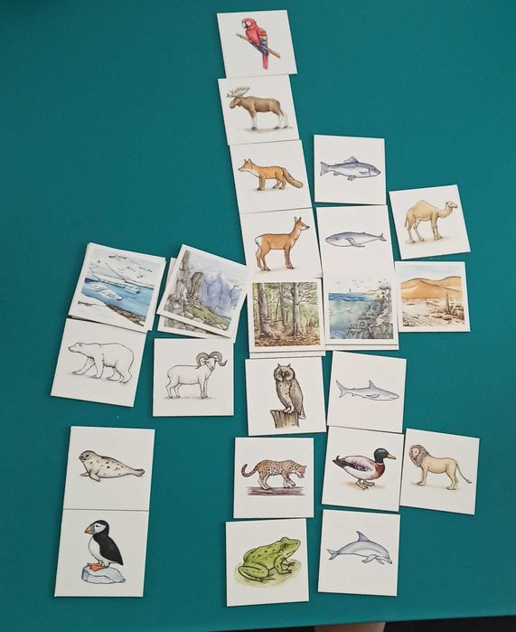 Meditații limba engleză - 65 RON/ 1h