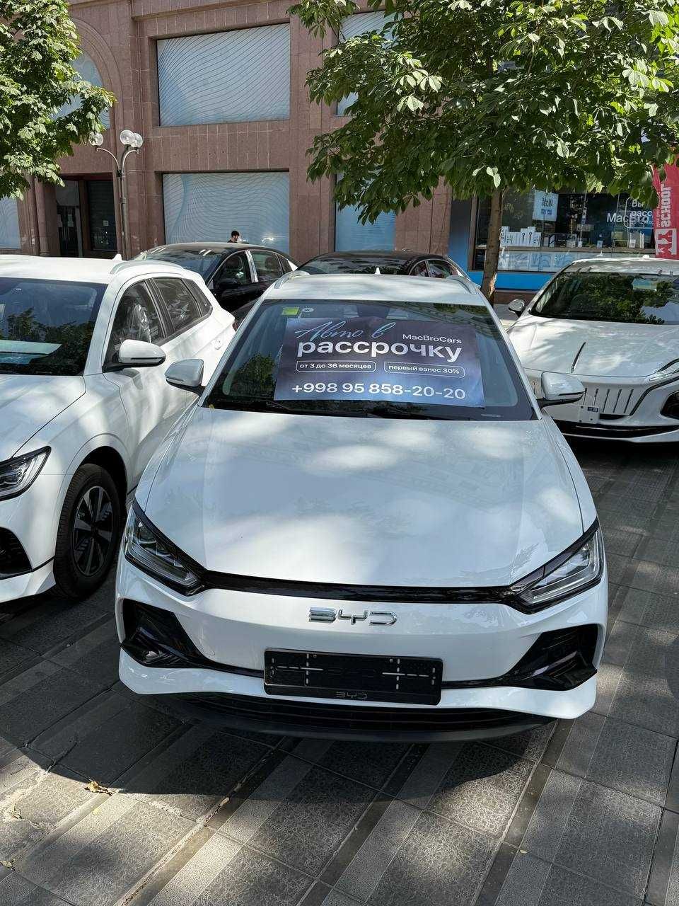 Byd e2 luxury 2025