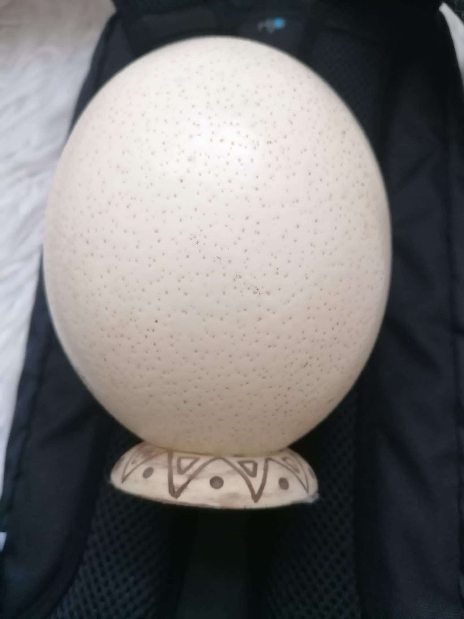 Ou de struț gata de pictura