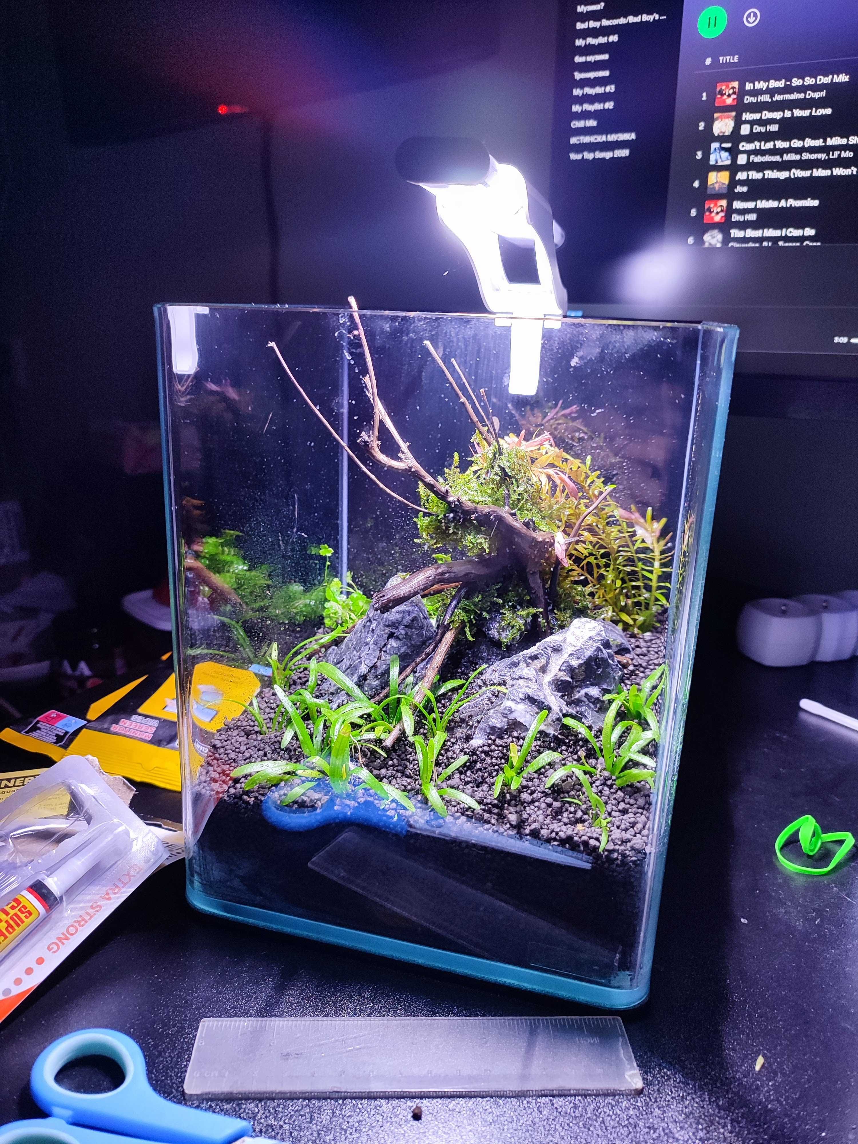 Аквариум Dennerle 10L Nano Cube + Chihiros C2 RGB Лампа + CO2 Система