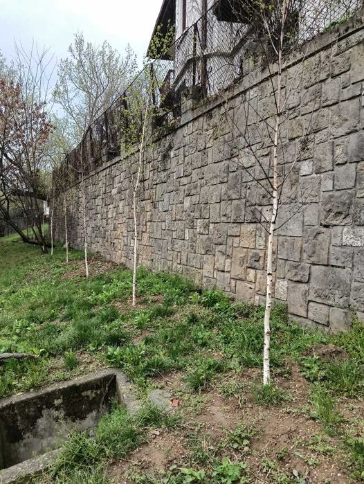 Curți de la Zero Experiență 20 Ani | Tuia, Stejari, Arțari
