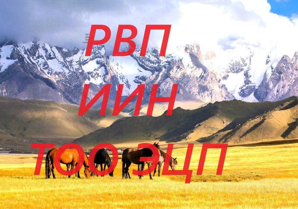 Разрешение на работу РВП/ВНЖ