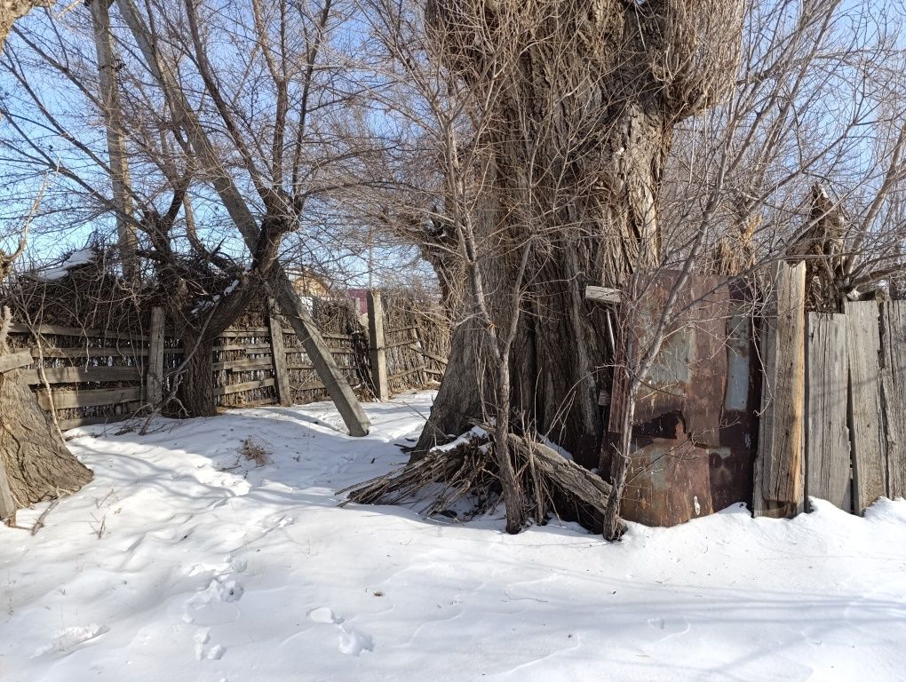 Алакольский р. Продам дом с участком
