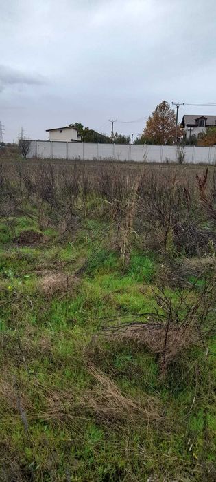 teren intravilan Mihailesti