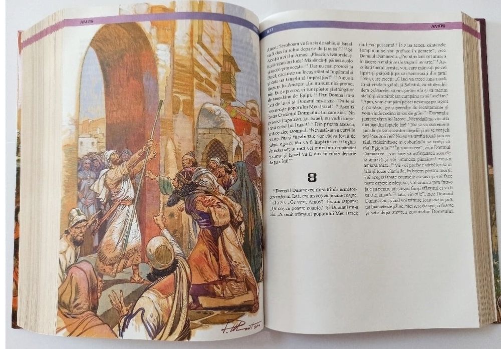 Biblia cu ilustrații de lux Nouă