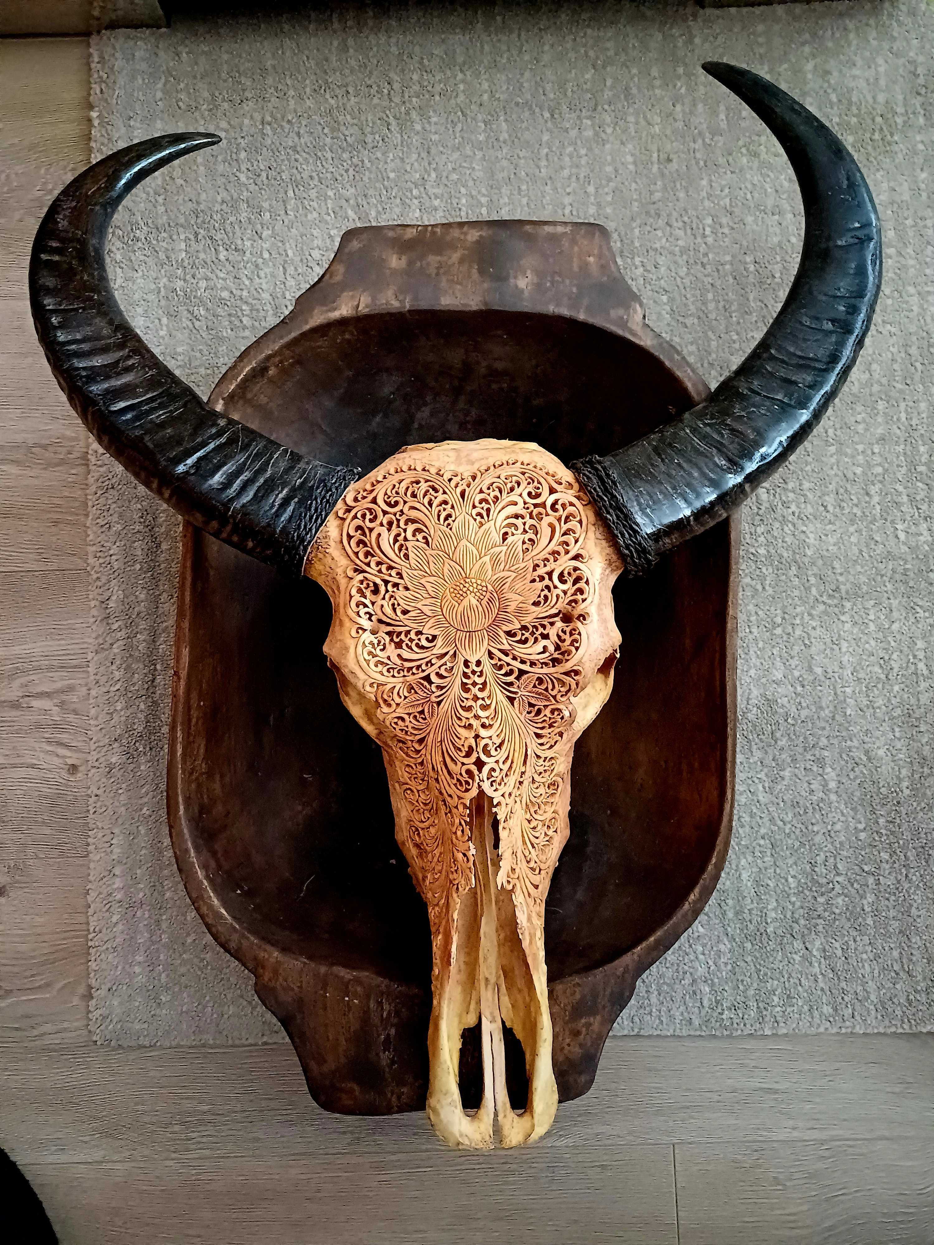 craniu de bivol cu coarne. decor de perete sculptat manual ,mandala.