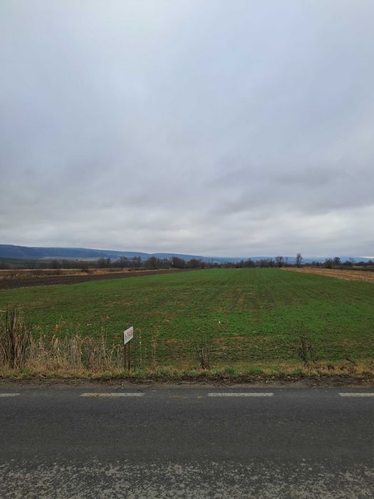 Teren arabil 1,1ha extravilan Baraolt pe DN 131B de la proprietar