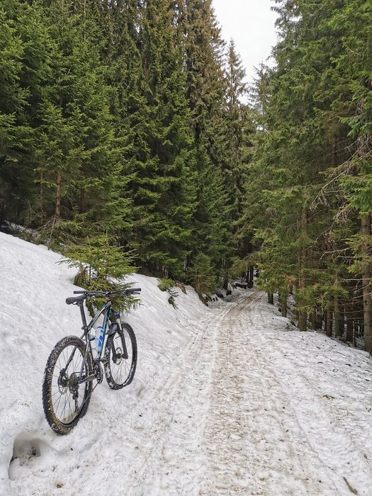 Devron Riddle H 3.7 marimea M (46 cm)