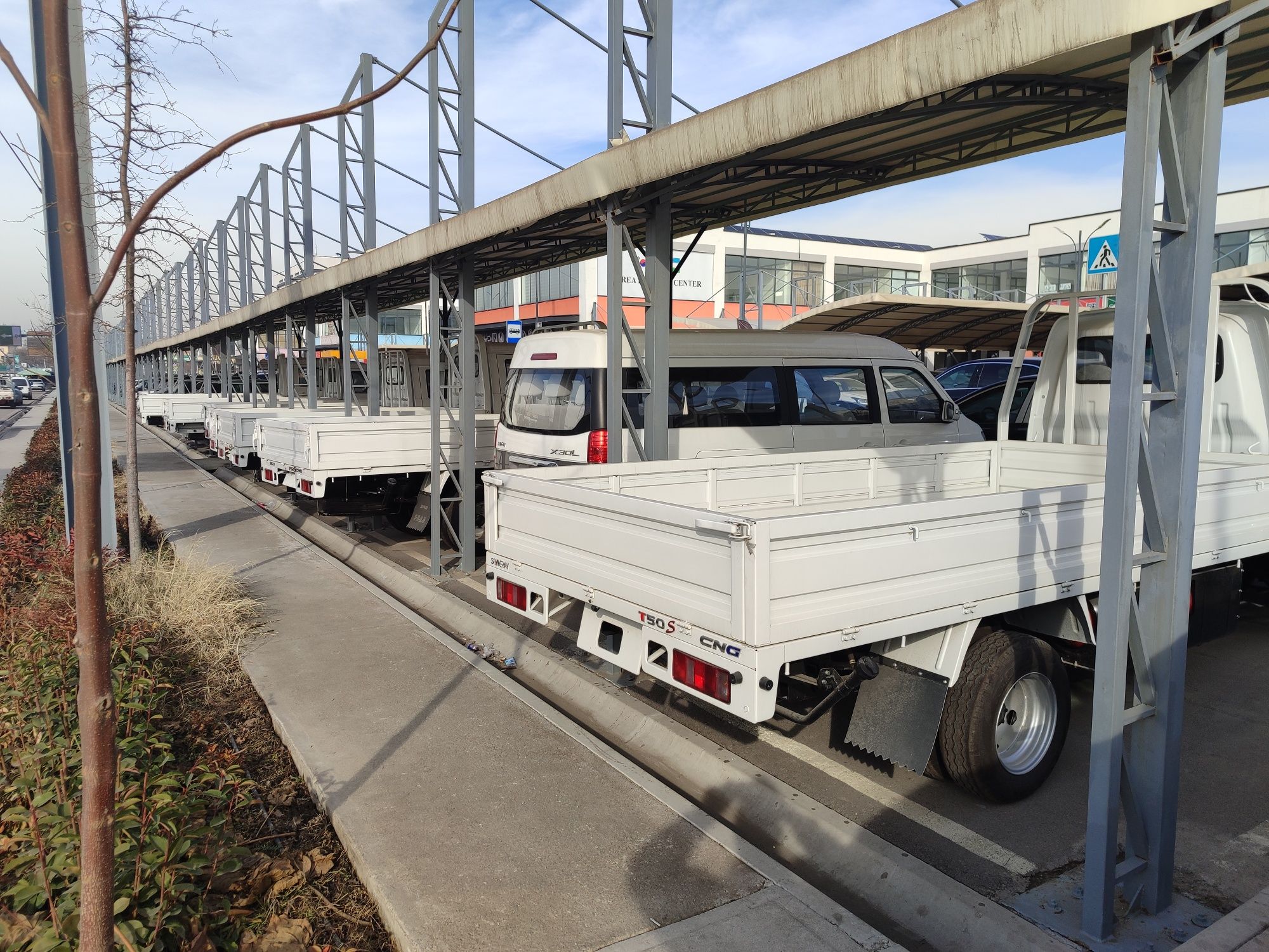 Shineray T30 benzin