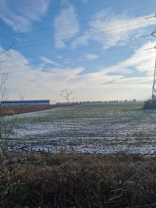 Teren de vanzare intravilan 10.000 mp, Paulesti, zona Parc Industrial