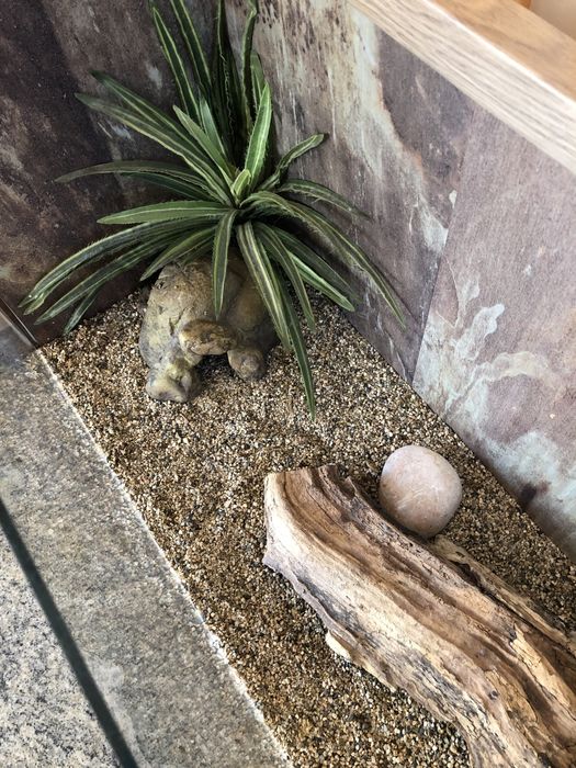 Терариум за гекон