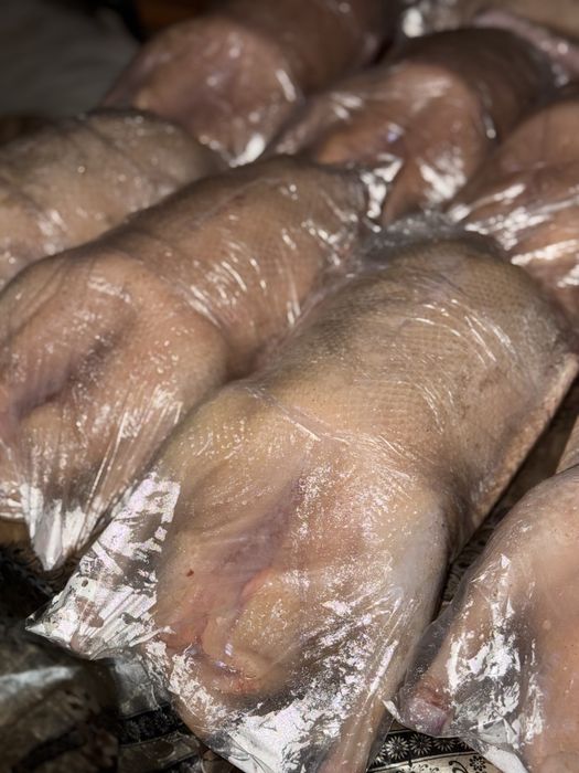 Мясо гуся, домашние , откормленные, сочные