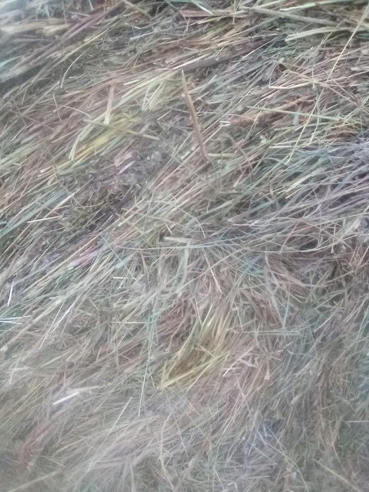 Vind baloti fin dimensiune 120/120