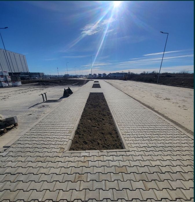 Borduri Pavele Pavatori