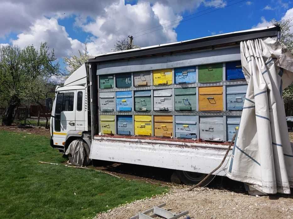 Vand masina apicola Volvo