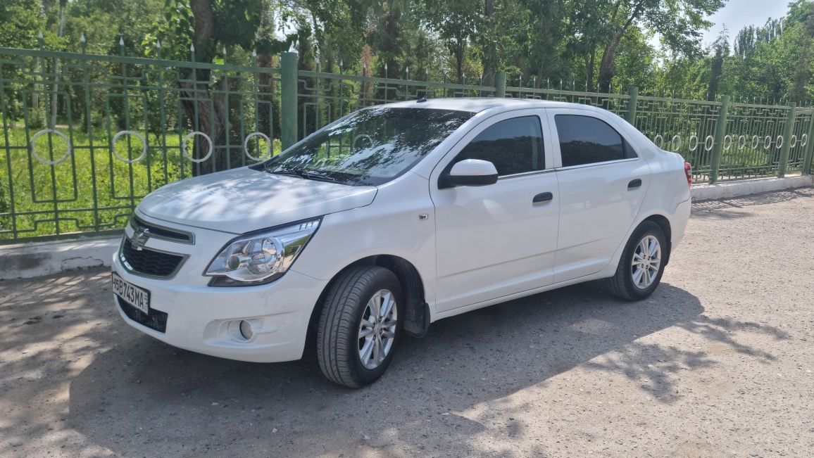 Cobalt mexanika 2019
