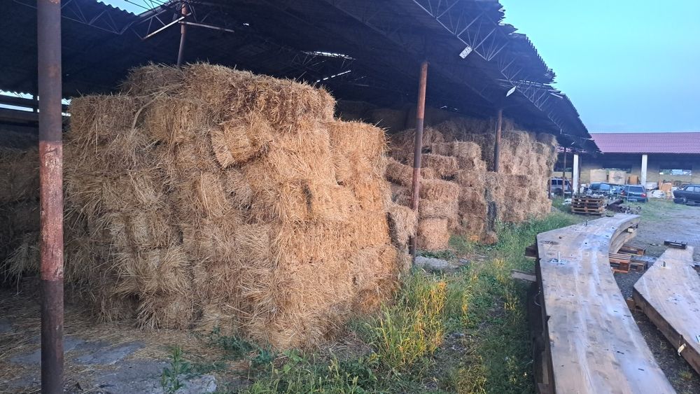 Vând baloti mari și mici .doar lucerna