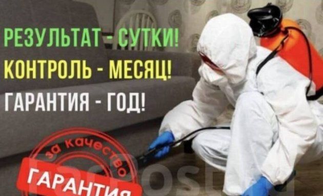 Дезинфекция от вредителей/ dezinfeksiya дизенфекция