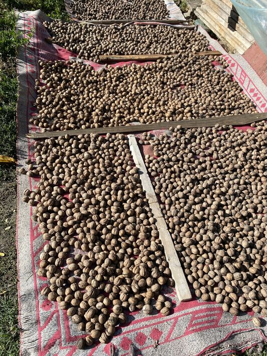 Vând  nuci naturale