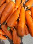 Продам   домашнию сладкую морковь ая