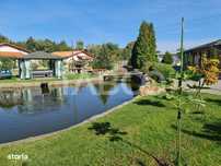 Vila de lux cu iaz si piscina zona rezidentiala de vanzare in Sebes