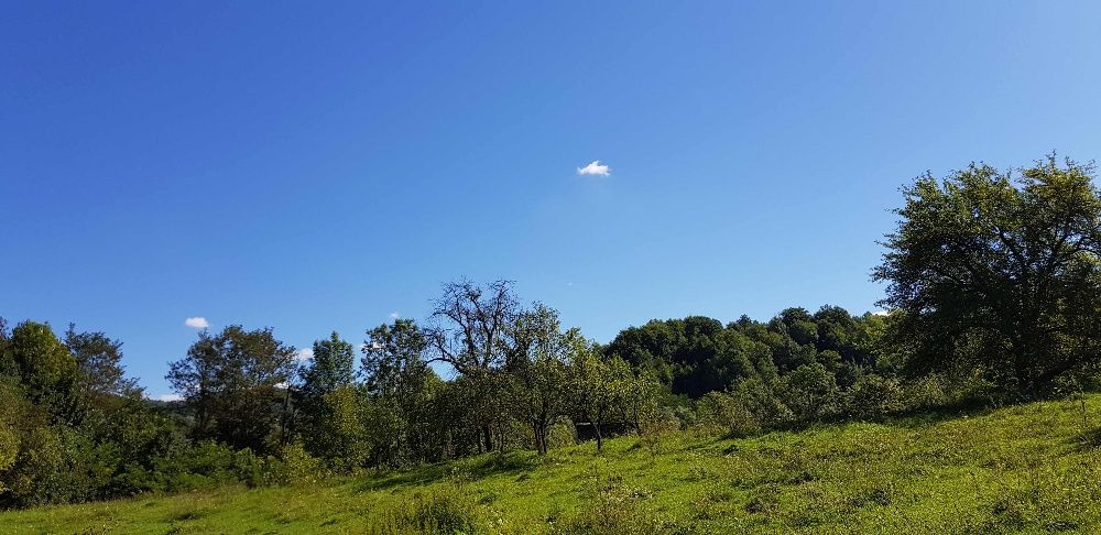 Teren intravilan Provita de jos (langa Breaza)