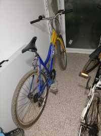 Bicicleta adult DHS și bicicleta TRAX..