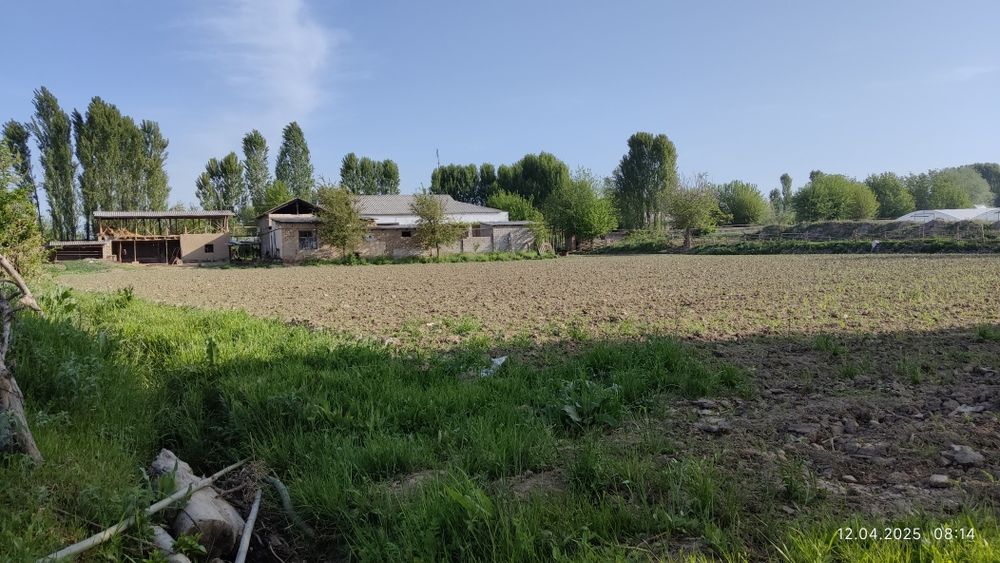 Uy Sotiladi Toshkent viloyati Bo'ka Tumani Ramadon MFY Janabay 15 uy