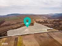 Vie de 115 Hectare în satul Dud, județul Arad