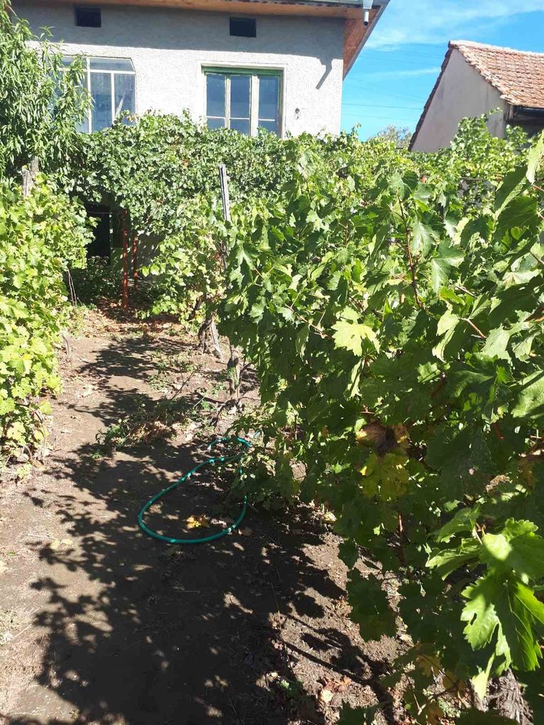 Продава се Къща в Свищов - 44 кв.м за 174 €/кв.м - Снимка #3
